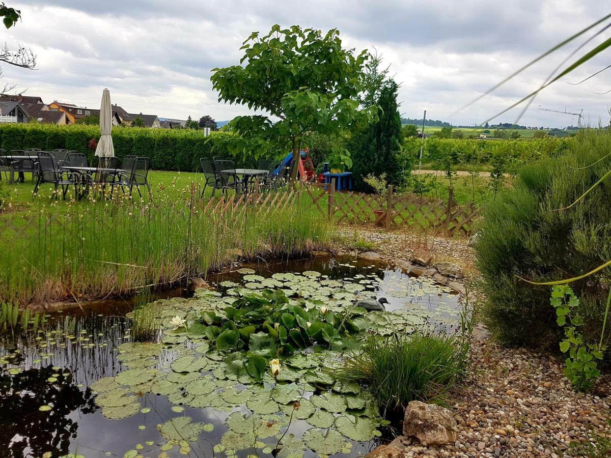 Ferienzimmer Weingut Mack Oestrich-Winkel Kültér fotó